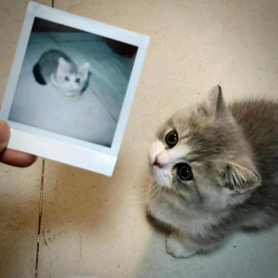 江直树ㅤ