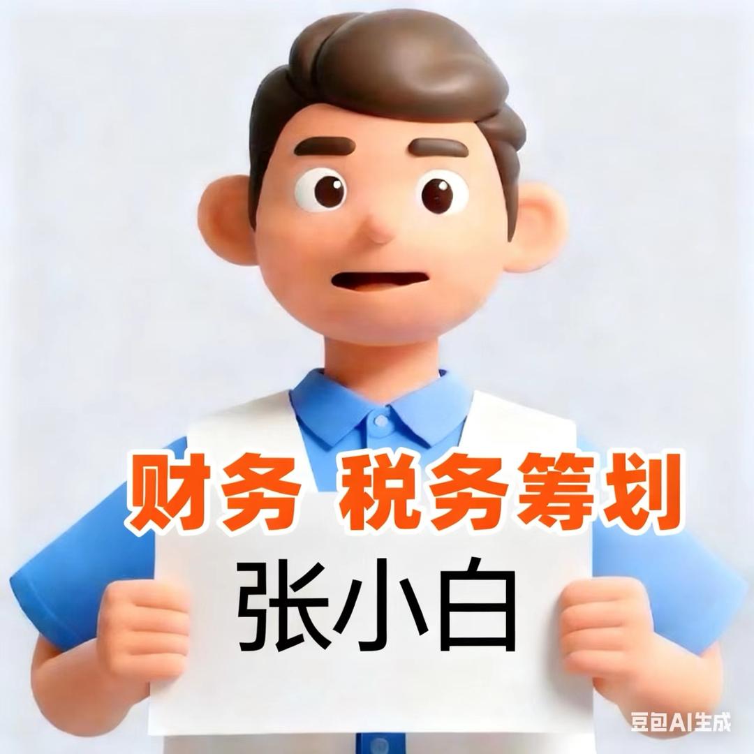 财税 张小白
