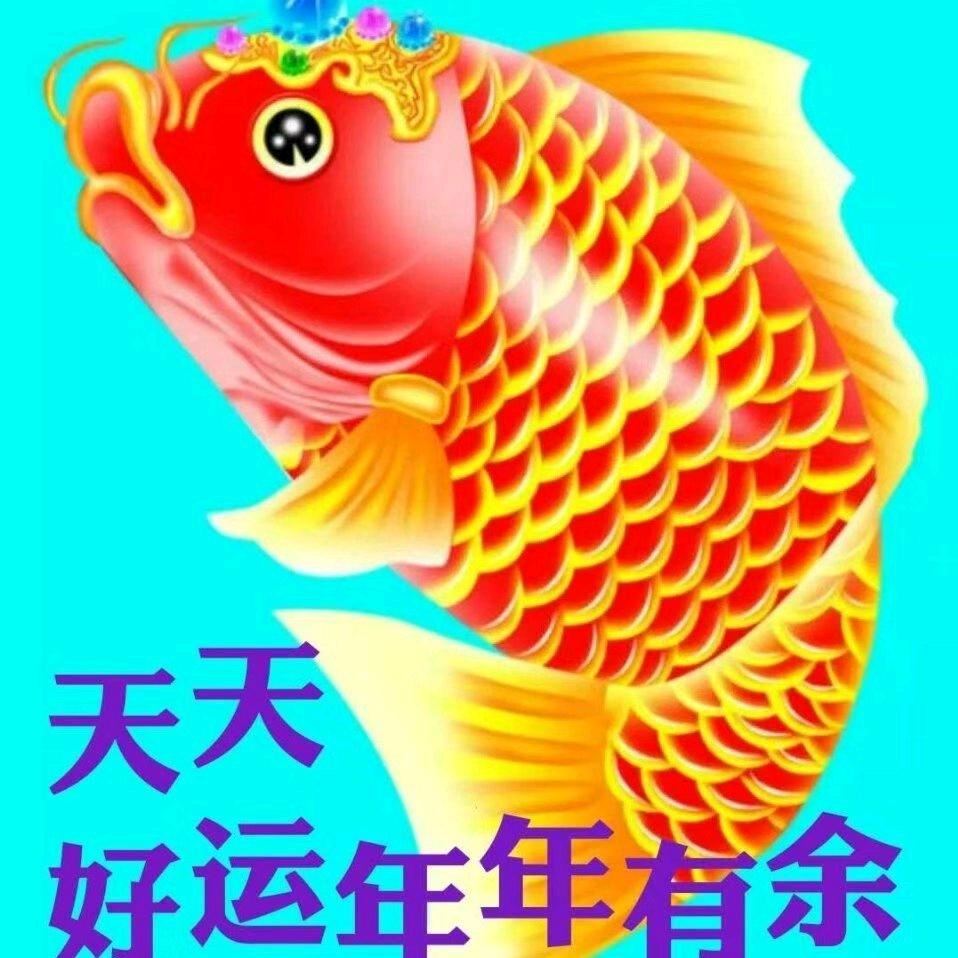 天天好运，年年有余