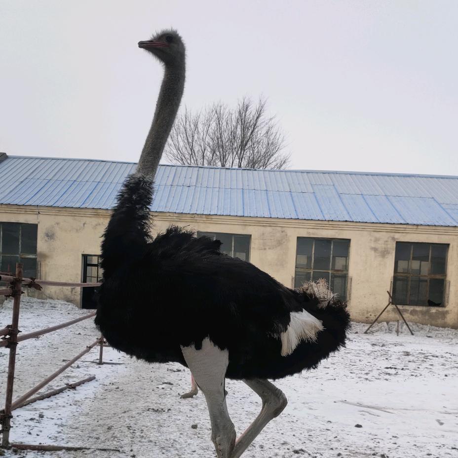 越努力越幸运加油！！！