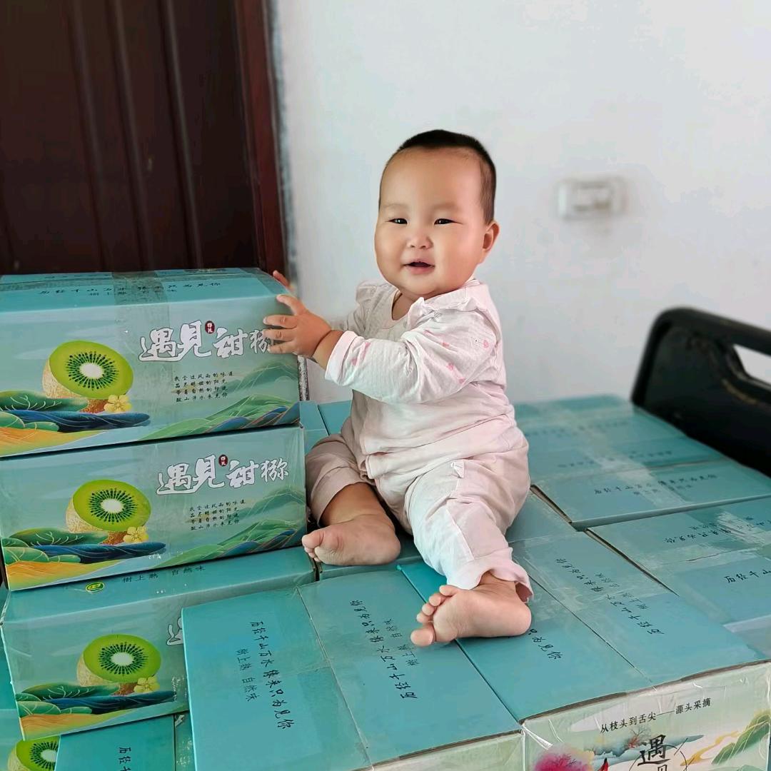 水杨桃嫁接苗
