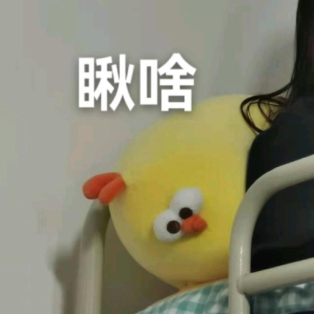 飞翔小黄鸡