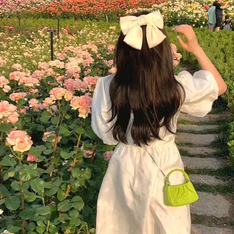 小蜜冯