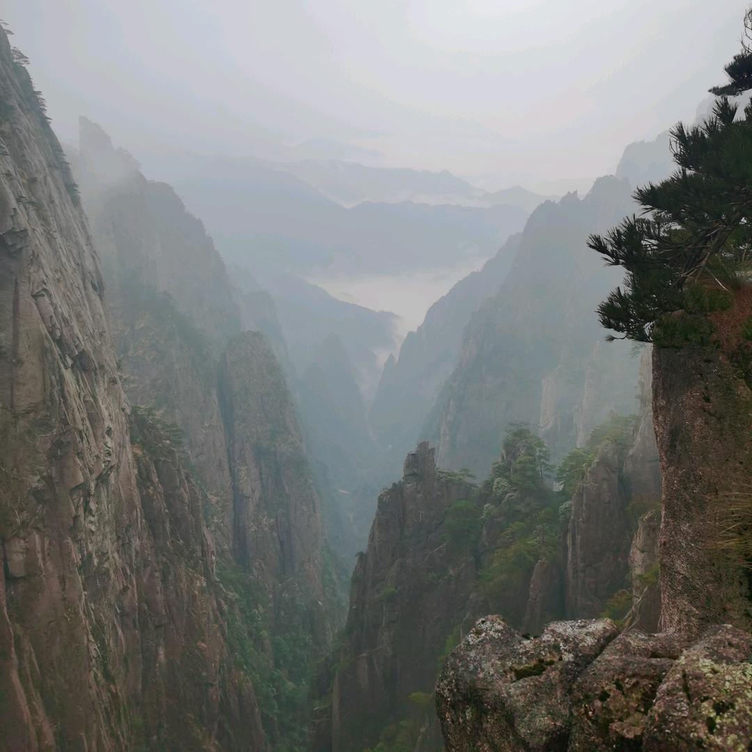 中蠡新材-陈先生