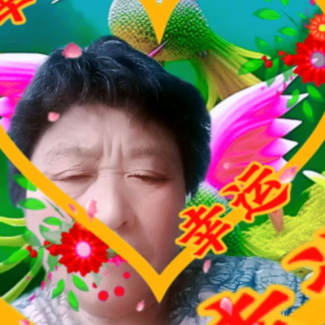 敢问路在何方6681