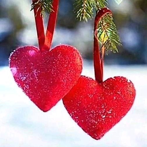 💕: 🥀 ᭄恰好ꦿ໌ᮨ遇见❤