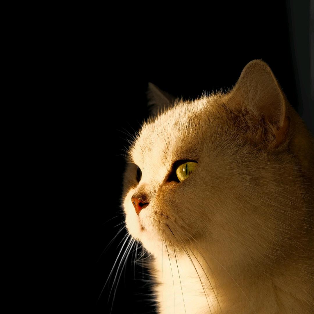 美年达💧💧💧