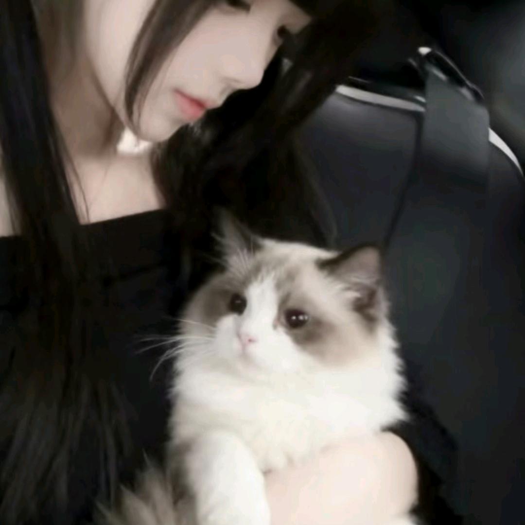江雪照孤舟