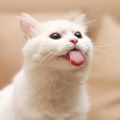 优茂园