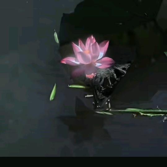 。.