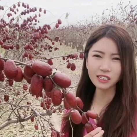 妞妞新疆和田大枣，干果特产