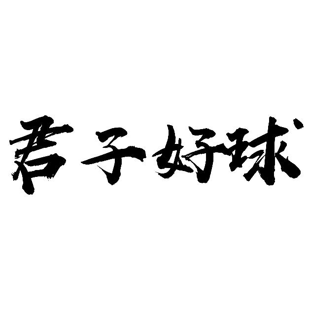 君子好球竞技台球