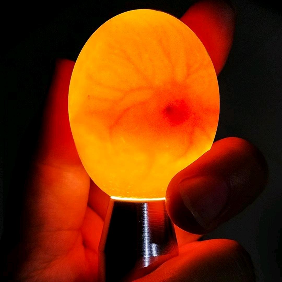 伟达孵化器设备工厂店0基础成功孵化