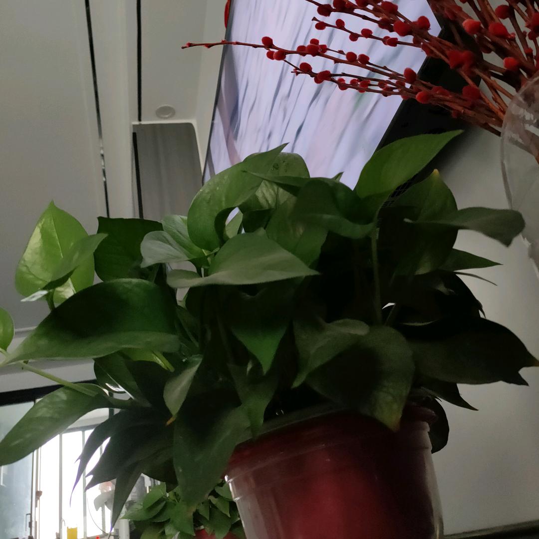 往事清零，从鲁开始