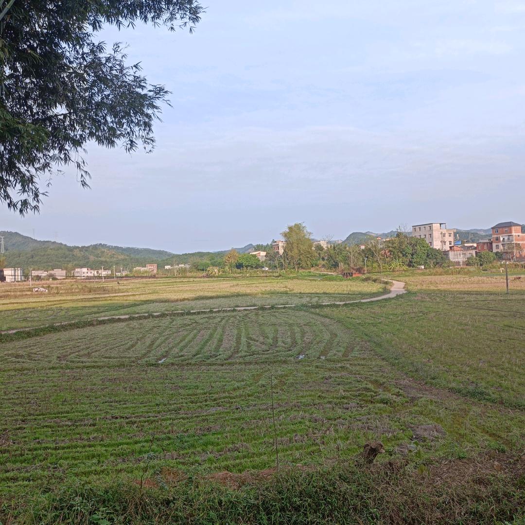 小芳姐广西