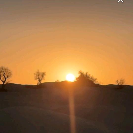 彩红姐🎤（不定时开播）