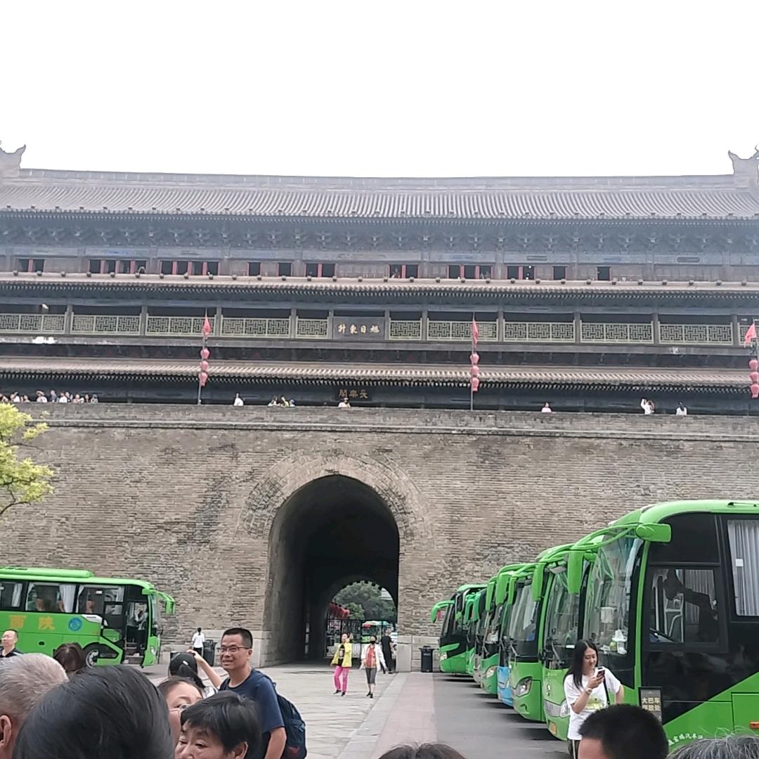 小小🕊