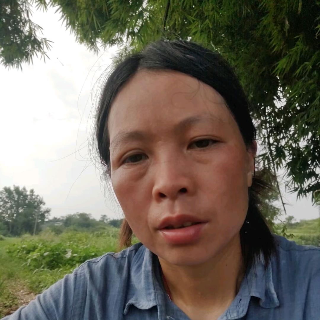 魂影残梦