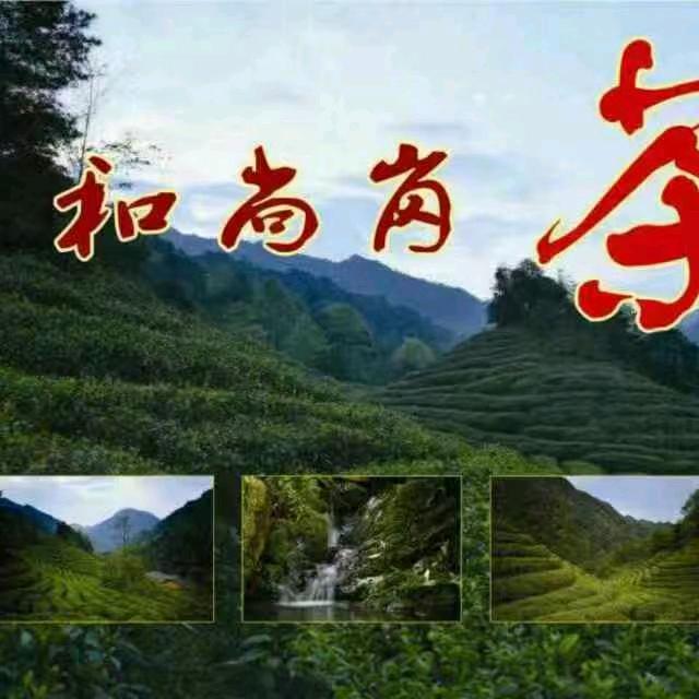 尚本源茶业