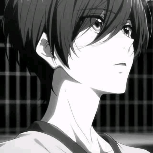 白鲨夜影（糕魔）