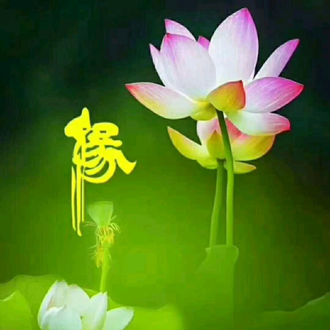 💅善良的心💅