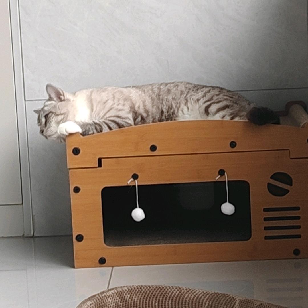 小振振呀