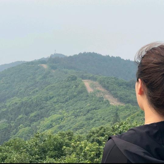 是虹姐吖