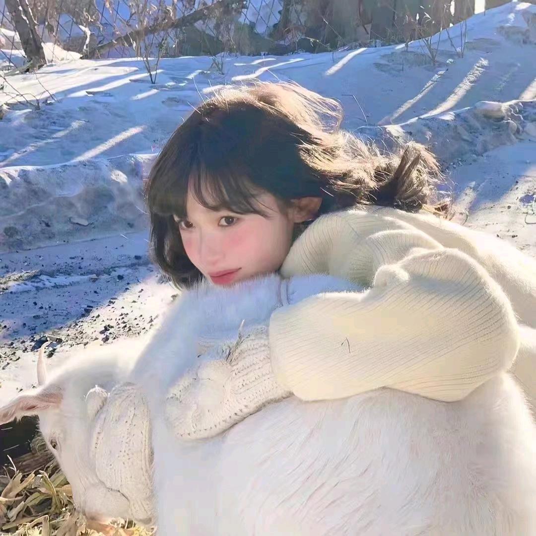 星星也会落山吗