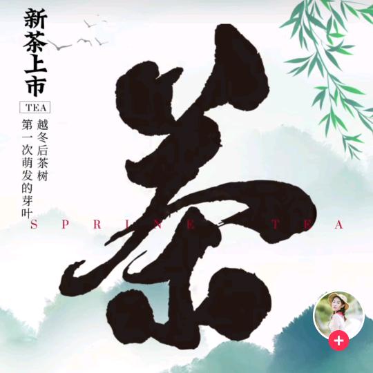 🫖茶先生✈️🔥🔥🔥