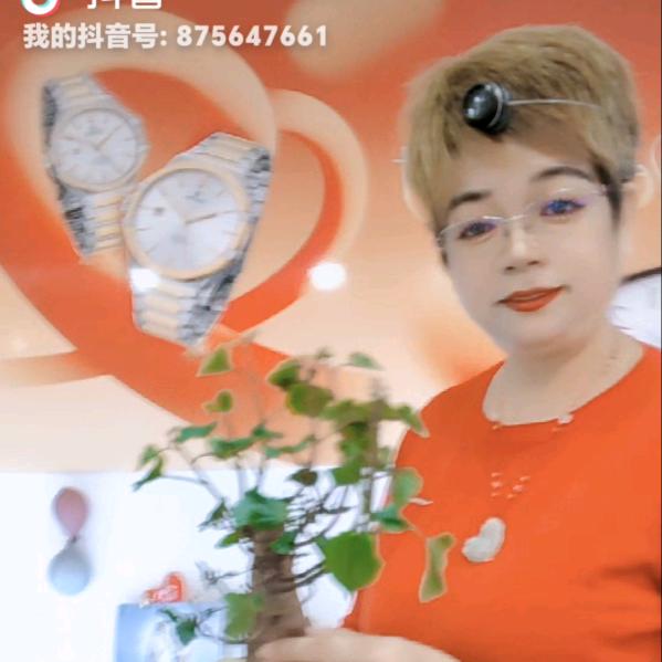 天赐西部名表名匠
