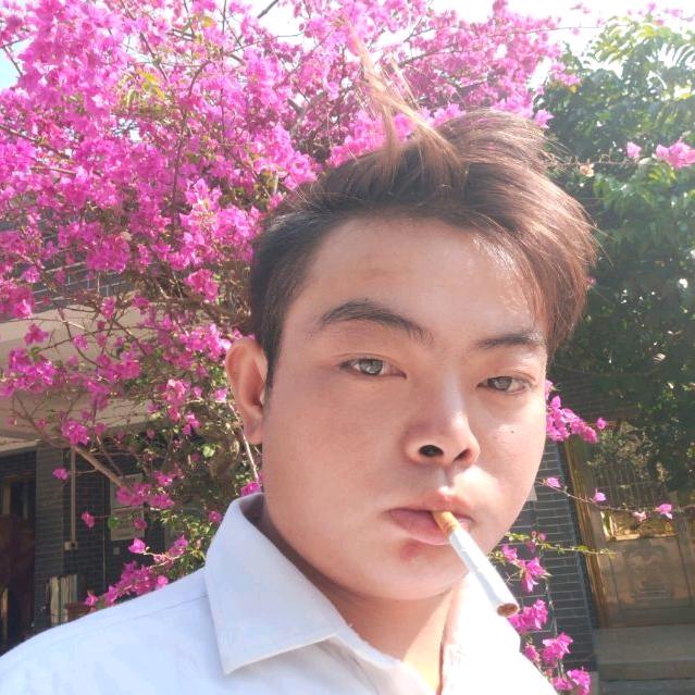 石榴开花叶了青