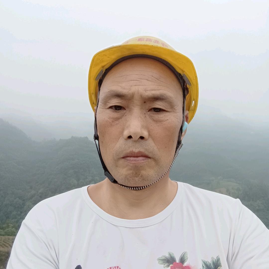 任来鸿运