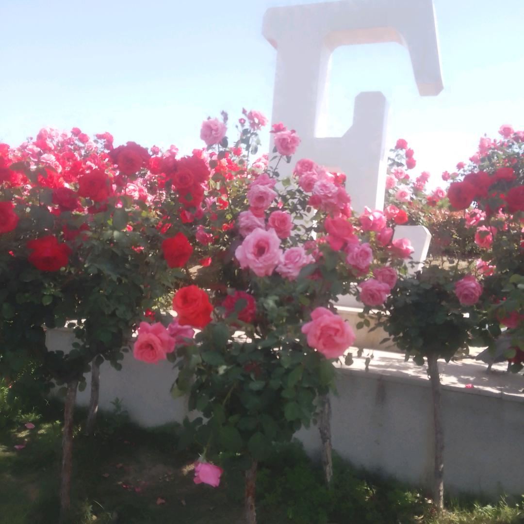 低调做人，向前奋斗