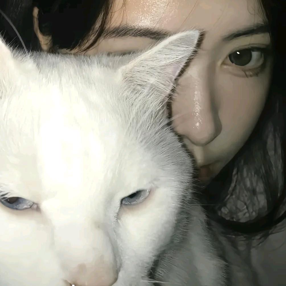 绊脚石