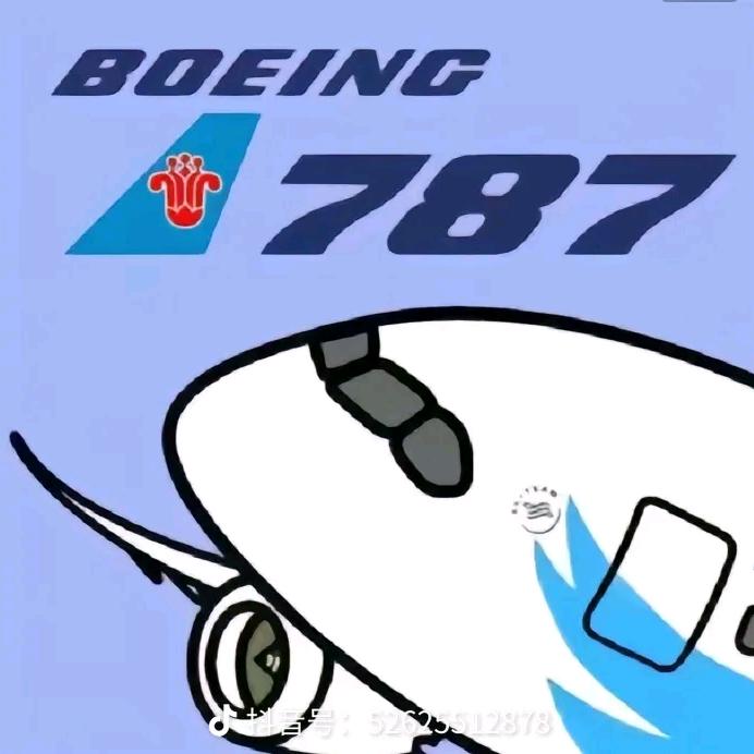 一架准备降落的南航波音787