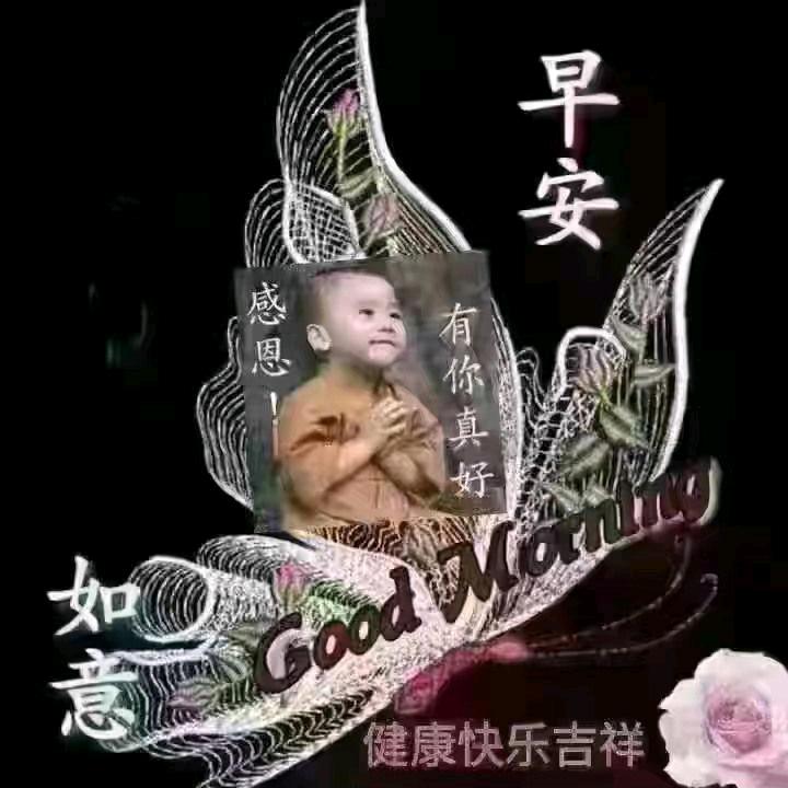 心连心