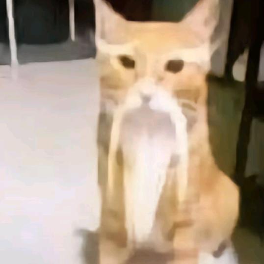 疯狂疯狂星期四