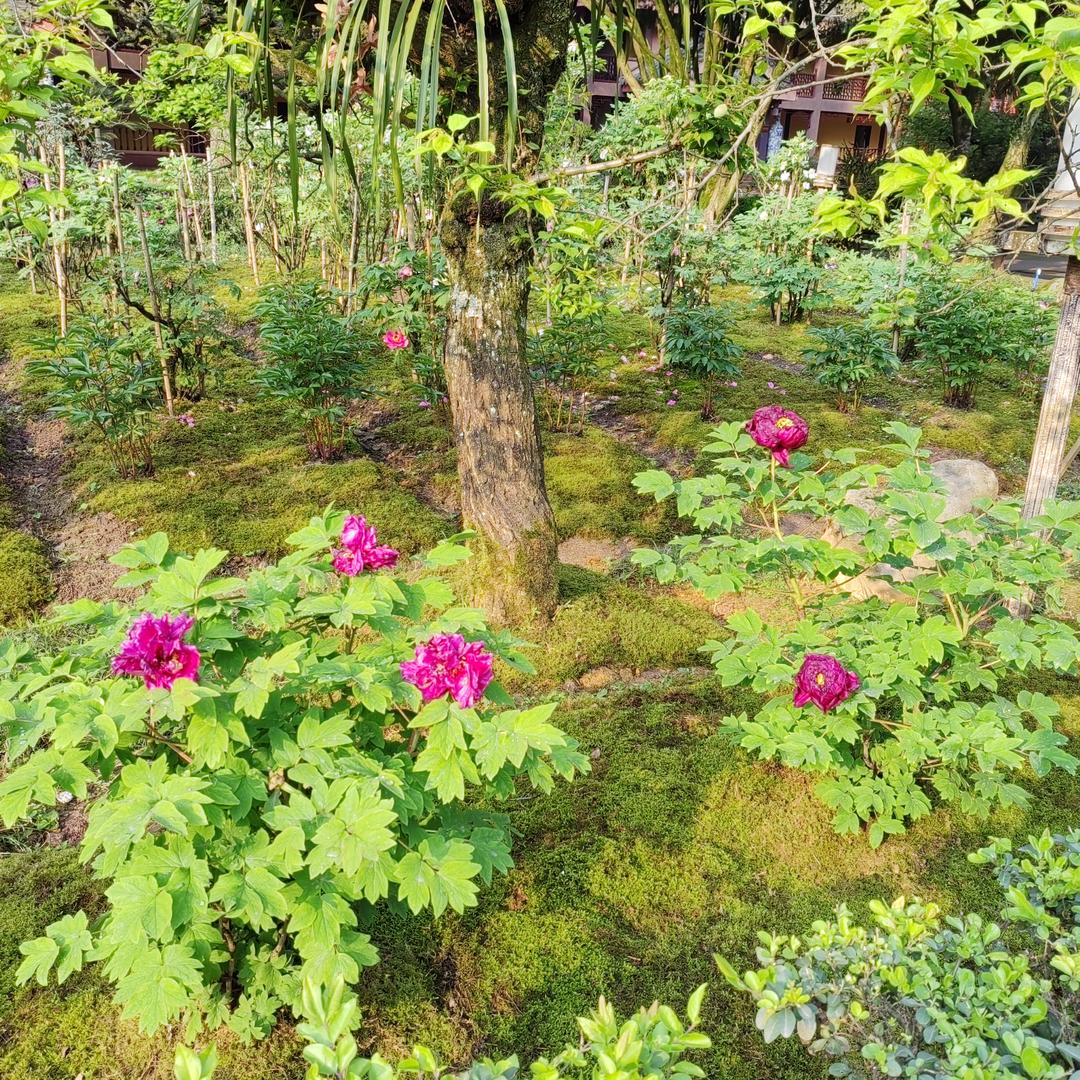 军宏商贸有限公司