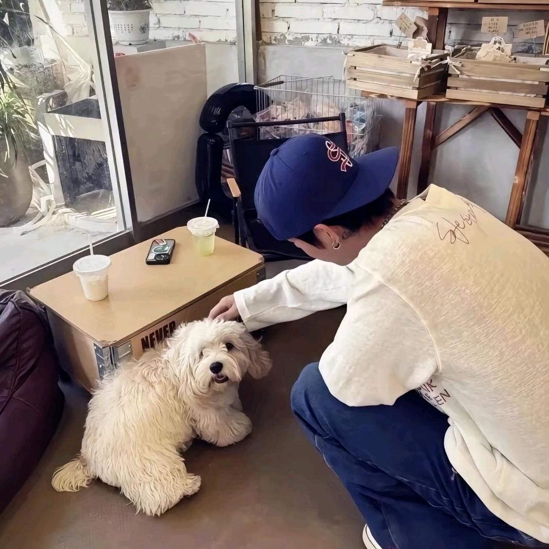 哈基鼠（三角洲行动）