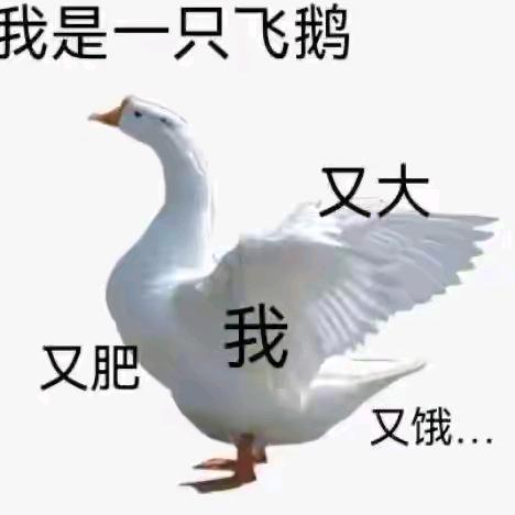 三横一竖炒鹅