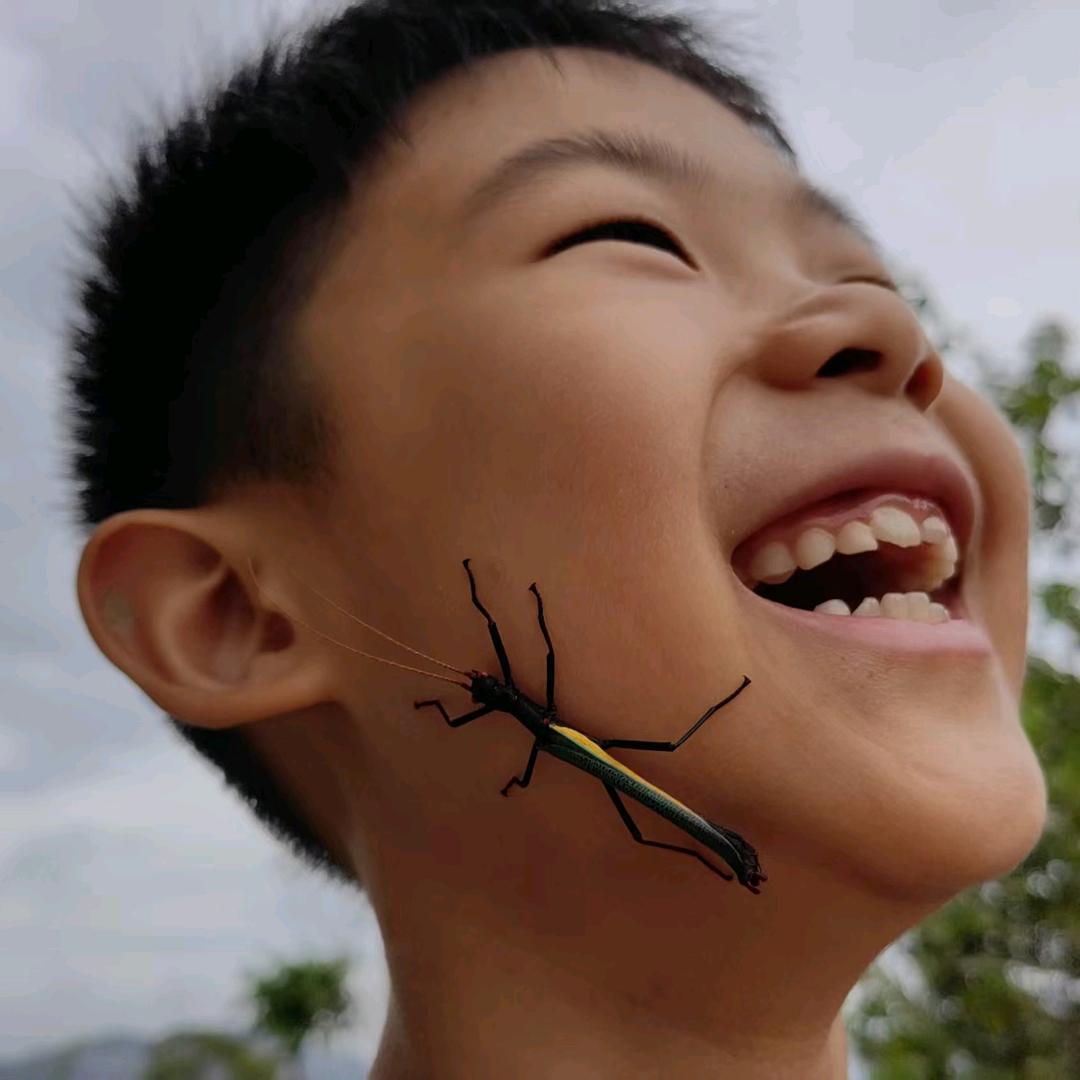 六六的虫虫