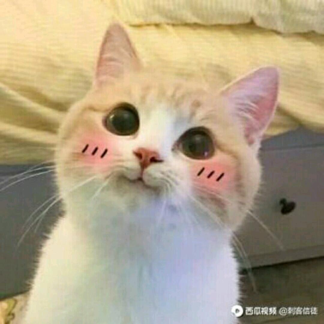 十二时辰雅致