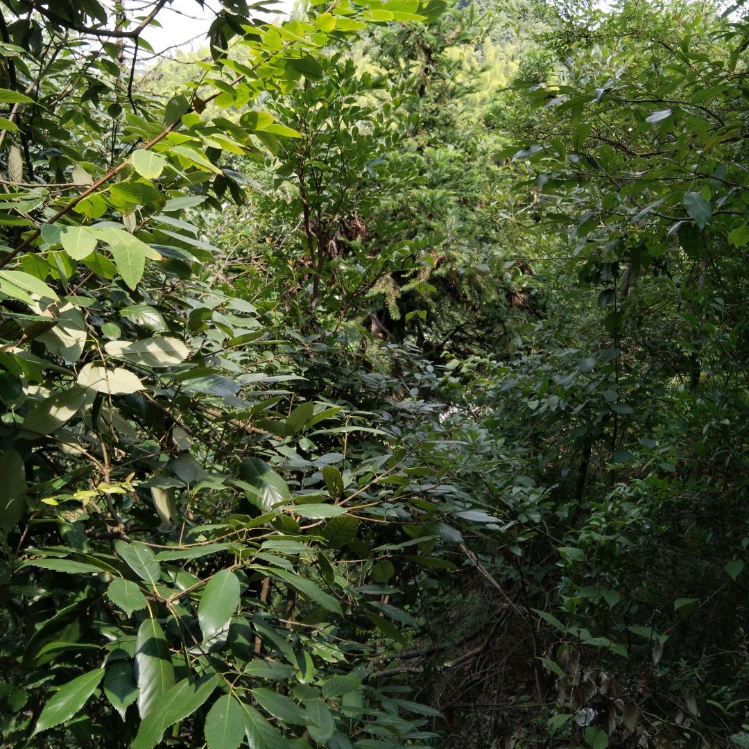 我去奋斗