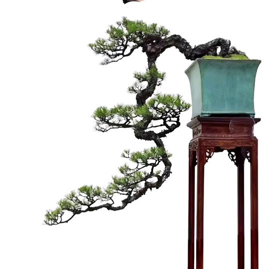人间烟火一育英巷晨光