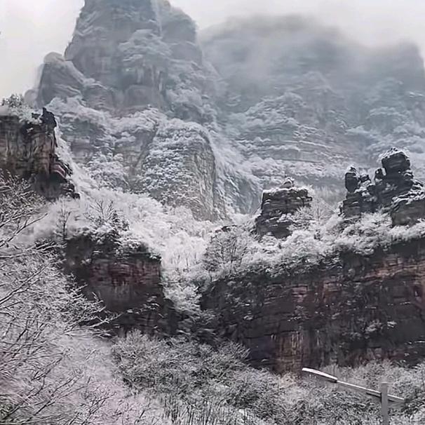 江河海777。傅头像