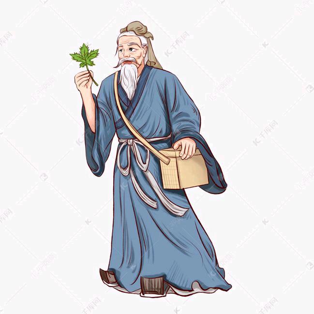淋巴草本
