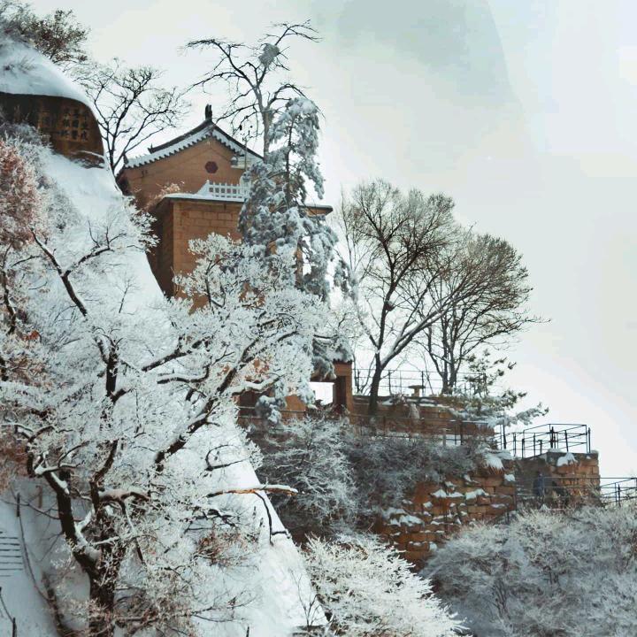 ❄️傲雪凌霜🍀