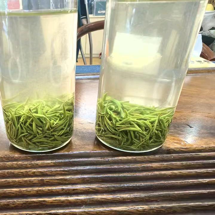 大山上的茶山姑娘