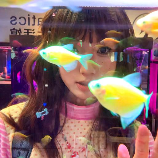 ¹个铜锣烧 ˙Ⱉ˙