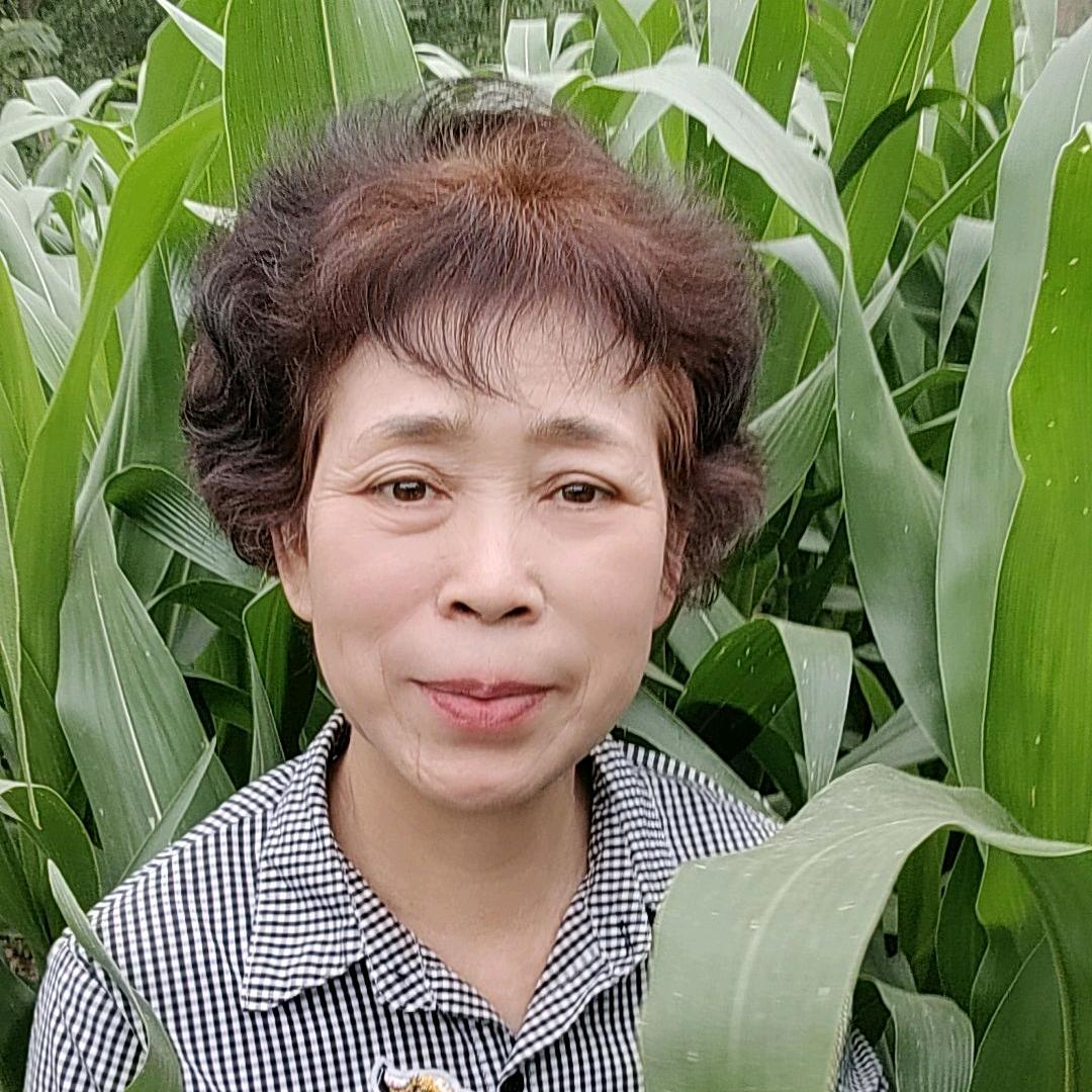流量娘（22点10分）